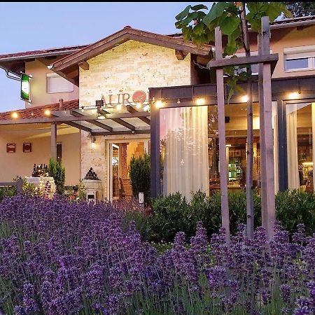 Bed and Breakfast Aurora Panzio à Bük Extérieur photo