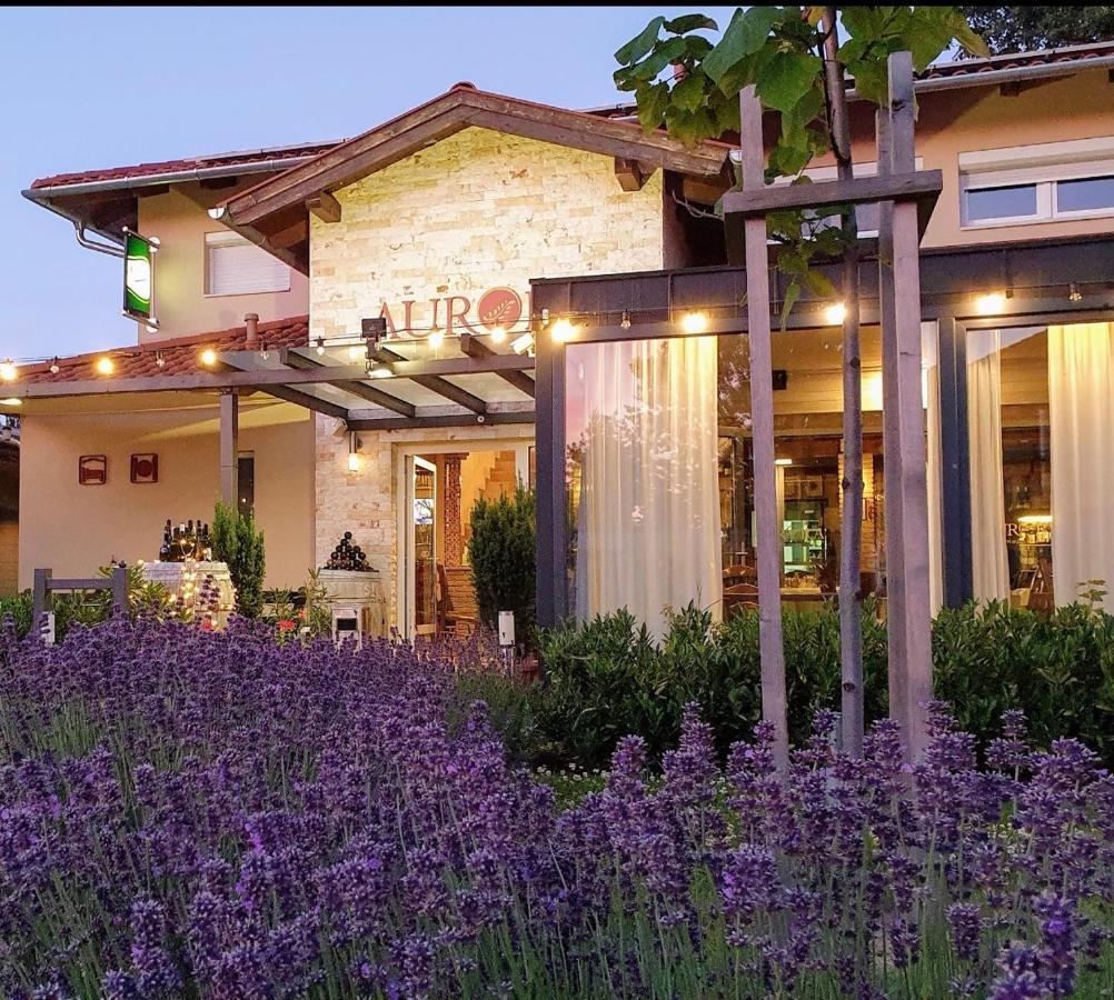 Bed and Breakfast Aurora Panzio à Bük Extérieur photo